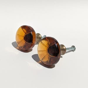 May include: Two amber-colored cabinet knobs with a dark brown, semi-circular design. The knobs have a brass base and a screw for installation. The knobs are round and have a glossy finish.