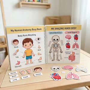 Può includere: Un libro educativo con rilegatura a spirale intitolato My Human Anatomy Busy Book e My Amazing Inner Body. Le pagine presentano attività interattive di abbinamento con illustrazioni del corpo umano, uno scheletro e vari organi interni.