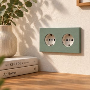 May include: A double electrical wall outlet featuring a matte sage green rectangular faceplate with two white circular sockets, mounted on a textured off-white wall surface next to a stack of books and a vase with green foliage.