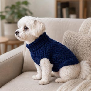 May include: A small white dog with long fur wearing a dark blue knitted sweater. The sweater features a high turtleneck collar and a textured chevron pattern across the body. The garment covers the torso and neck, leaving the legs and tail visible.