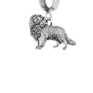 May include: A silver charm depicting a Cavalier King Charles Spaniel dog. The charm has a loop for attaching to a bracelet or necklace. The dog is shown in a standing position, with detailed fur and features.