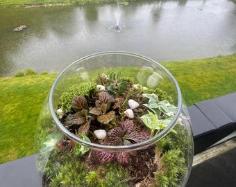 Terarium