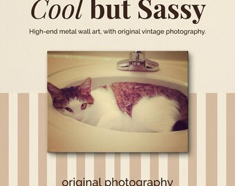 Vintage Cat Metal Wall Art | Sassy Cattitude Mood | Original Photography