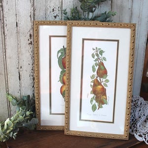 May include: Two rectangular framed prints featuring botanical illustrations of pears on branches. Each print is encased in a gold-toned frame with a beaded texture and a white mat. The text "They Come in Pears" is printed at the bottom of the right frame.