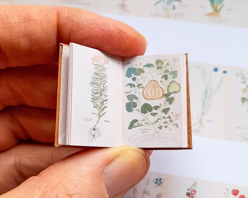 May include: A small, brown leather-bound book with illustrations of a plant and a gourd. The book is open to show the illustrations, which are hand-drawn in watercolour.