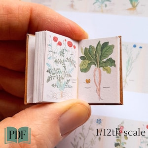 Druckbare Miniatur illustriertes Kräuterbuch aus dem 16.Jahrhundert, antikes botanisches Buch, pdf PDF im Maßstab 1:12, Gartenjournal zur Verschönerung des Puppenhauses