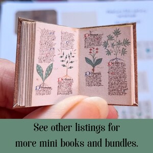 May include: A miniature book with a brown leather cover, open to a page with hand-drawn illustrations of plants and text in a medieval style.