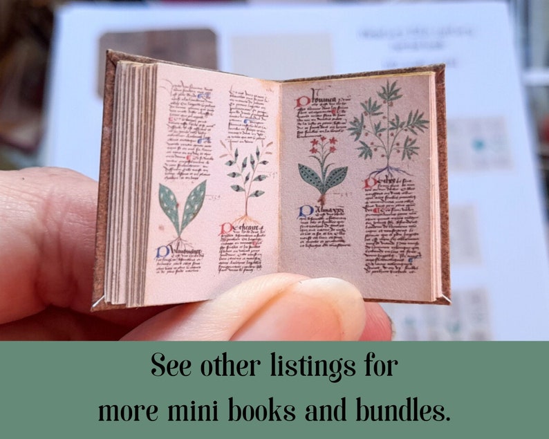 May include: A miniature book with a brown leather cover, open to a page with hand-drawn illustrations of plants and text in a medieval style.