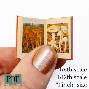 Französisches Miniatur-Pilzbuch Band 1, 1/6 bis 1/12, 1 Zoll, Puppenhaus-Skala, printable PDF, Ephemera für Journale, Buchecke