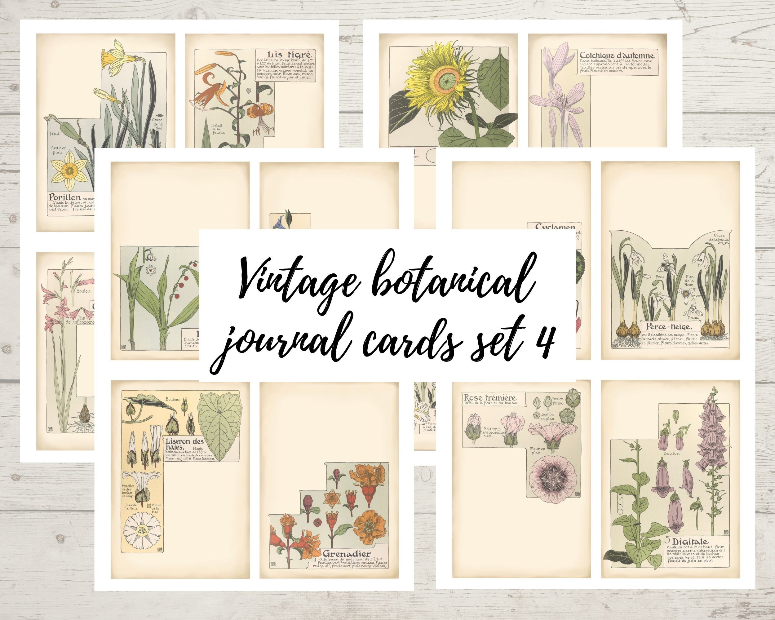 Printable Floral Journal Cards for ATC, Collage Sheets, Junk Journal ...