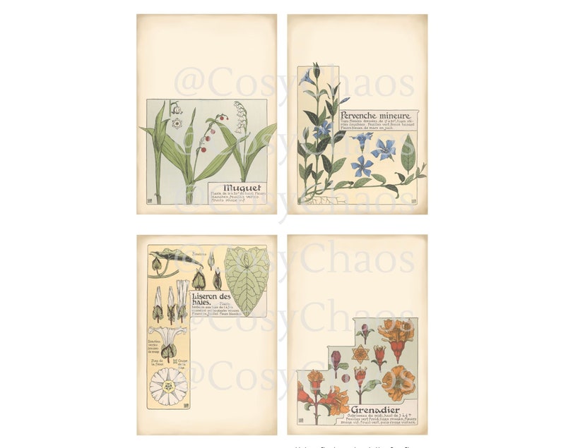 Printable Floral Journal Cards for ATC, Collage Sheets, Junk Journal ...