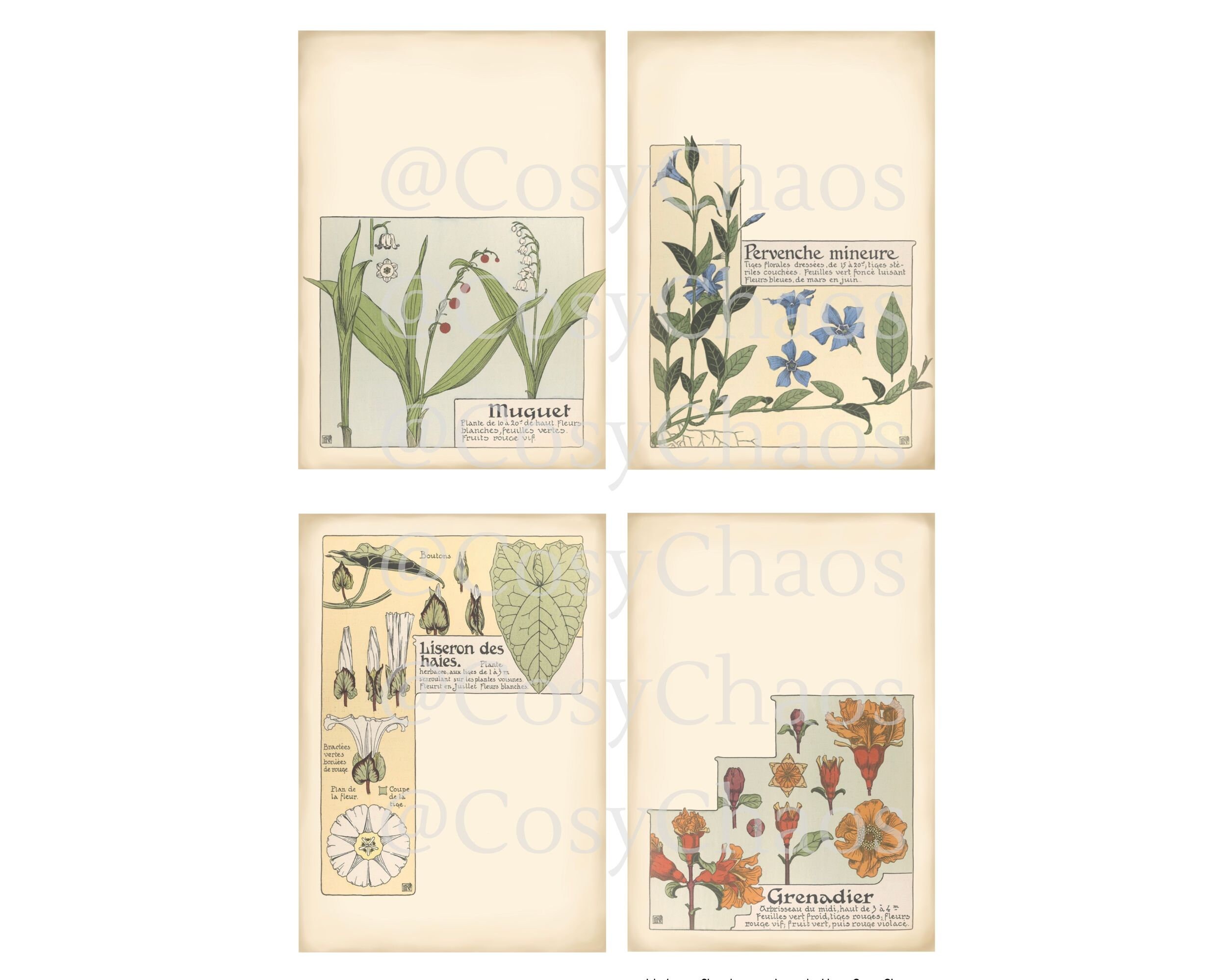 Printable Floral Journal Cards for ATC, Collage Sheets, Junk Journal ...