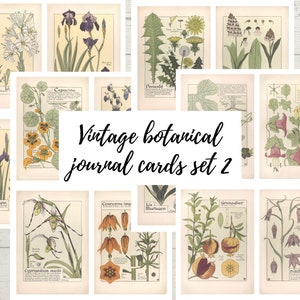 Afdrukbare Franse vintage botanische tijdschriftkaarten, ATC, collagebladen, junk journal ephemera versieringen, digitale download, bloemen set 2