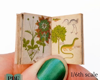 Printable miniature 15th century Italian herbal, antique dollhouse botanical book pdf 1/12th 1/6th scale, medieval journal embellishment