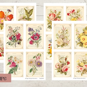 Vintage botanische dagboekkaarten, afdrukbaar, ATC, collagebladen, efemere versieringen van junk journal, digitale download, bloemen set 6