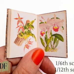 Miniature vintage orchid book, dollhouse scale, 1/6th 1/12th 1/24th printable pdf, orchid ephemera for journals, book nook, dollhouse