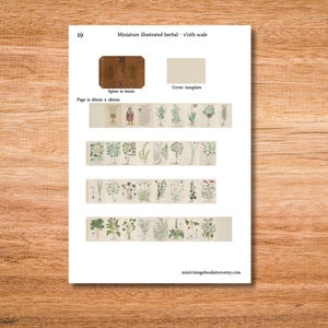 May include: A printable sheet with instructions for creating a miniature illustrated herbal book. The sheet includes a cover template, a spine template, and several pages of botanical illustrations. The spine is 6 mm wide and the pages are 18 mm by 28 mm.