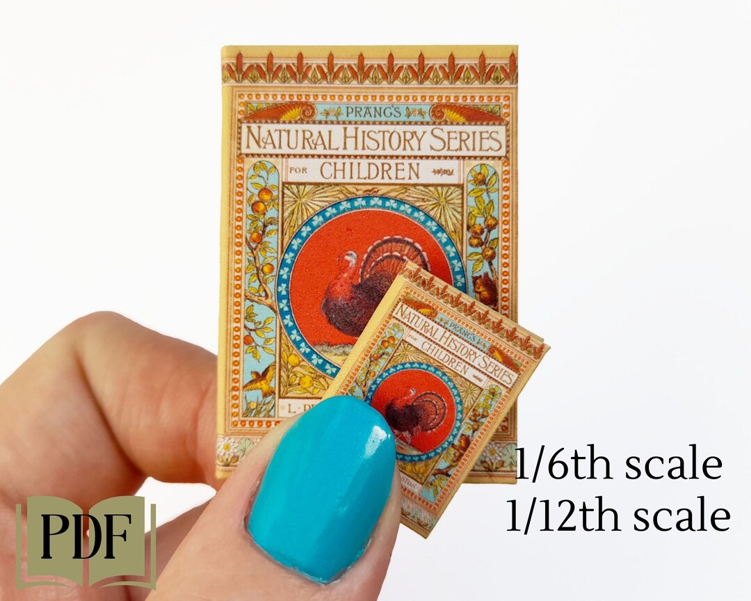 Miniature Vintage Childrens' Scratching Birds Book Etsy