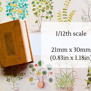 May include: A small, brown, leather-bound book with a 1/12th scale label. The book measures 0.83 inches by 1.18 inches, or 21mm by 30mm.