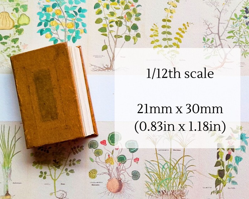 May include: A small, brown, leather-bound book with a 1/12th scale label. The book measures 0.83 inches by 1.18 inches, or 21mm by 30mm.