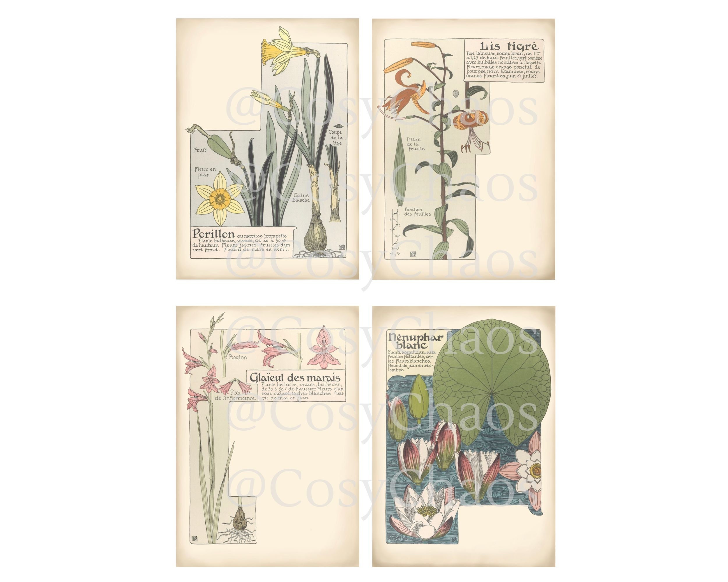 Printable Floral Journal Cards for ATC, Collage Sheets, Junk Journal ...