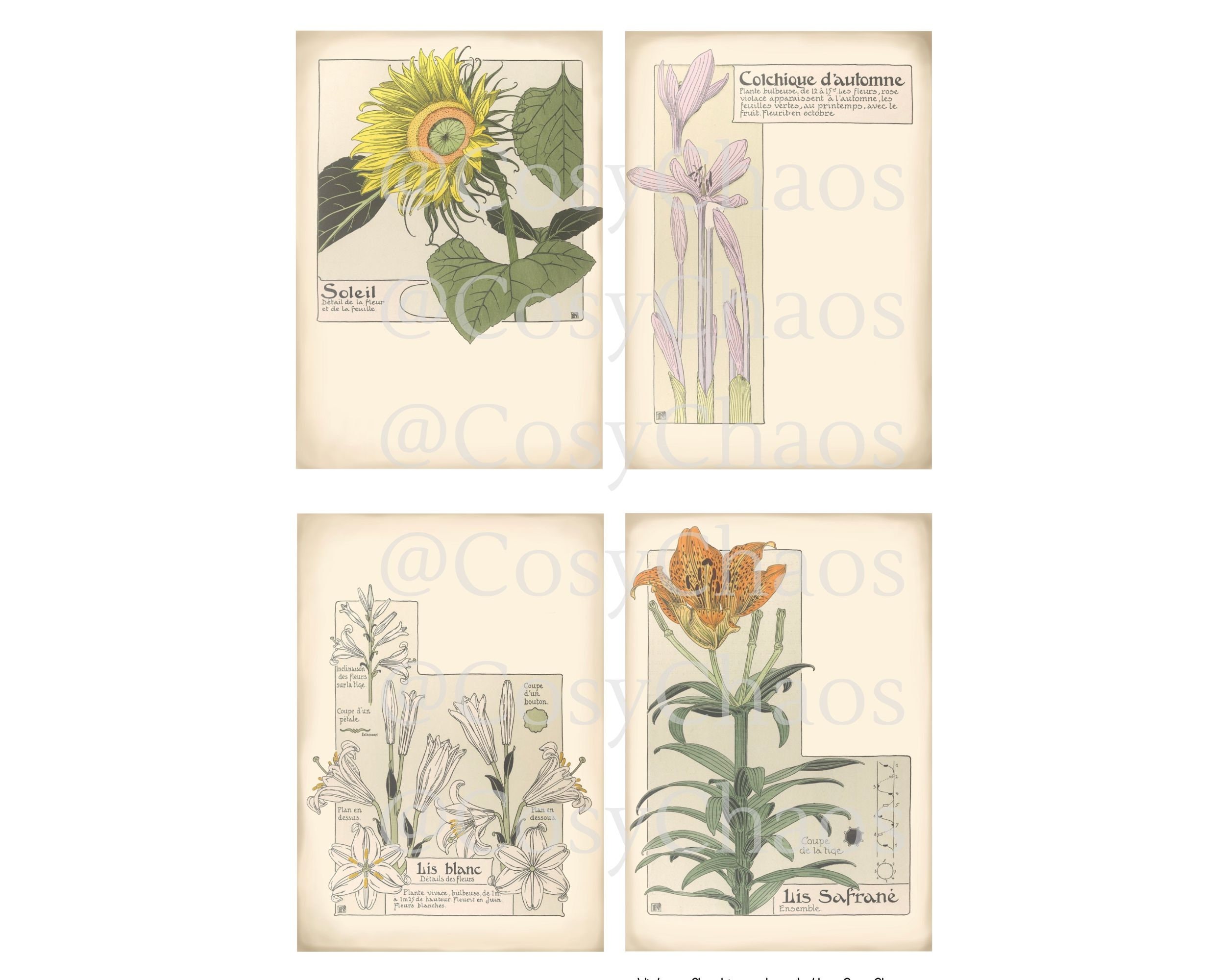 Printable Floral Journal Cards for ATC, Collage Sheets, Junk Journal ...