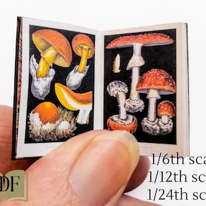 May include: An open book with illustrations of red and orange mushrooms. The book is titled "Mushrooms" and has a black background. The text "1/6th scale 1/12th scale 1/24th scale" is visible below the book.