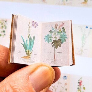 May include: An open miniature book with illustrations of two different plants. The book has a brown cover and the pages are cream coloured. The first plant is a light green with a pink flower and the second plant is a dark green with a light green flower.