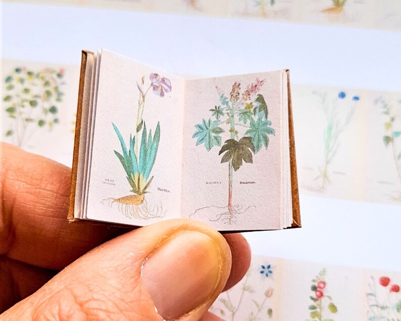 May include: An open miniature book with illustrations of two different plants. The book has a brown cover and the pages are cream coloured. The first plant is a light green with a pink flower and the second plant is a dark green with a light green flower.