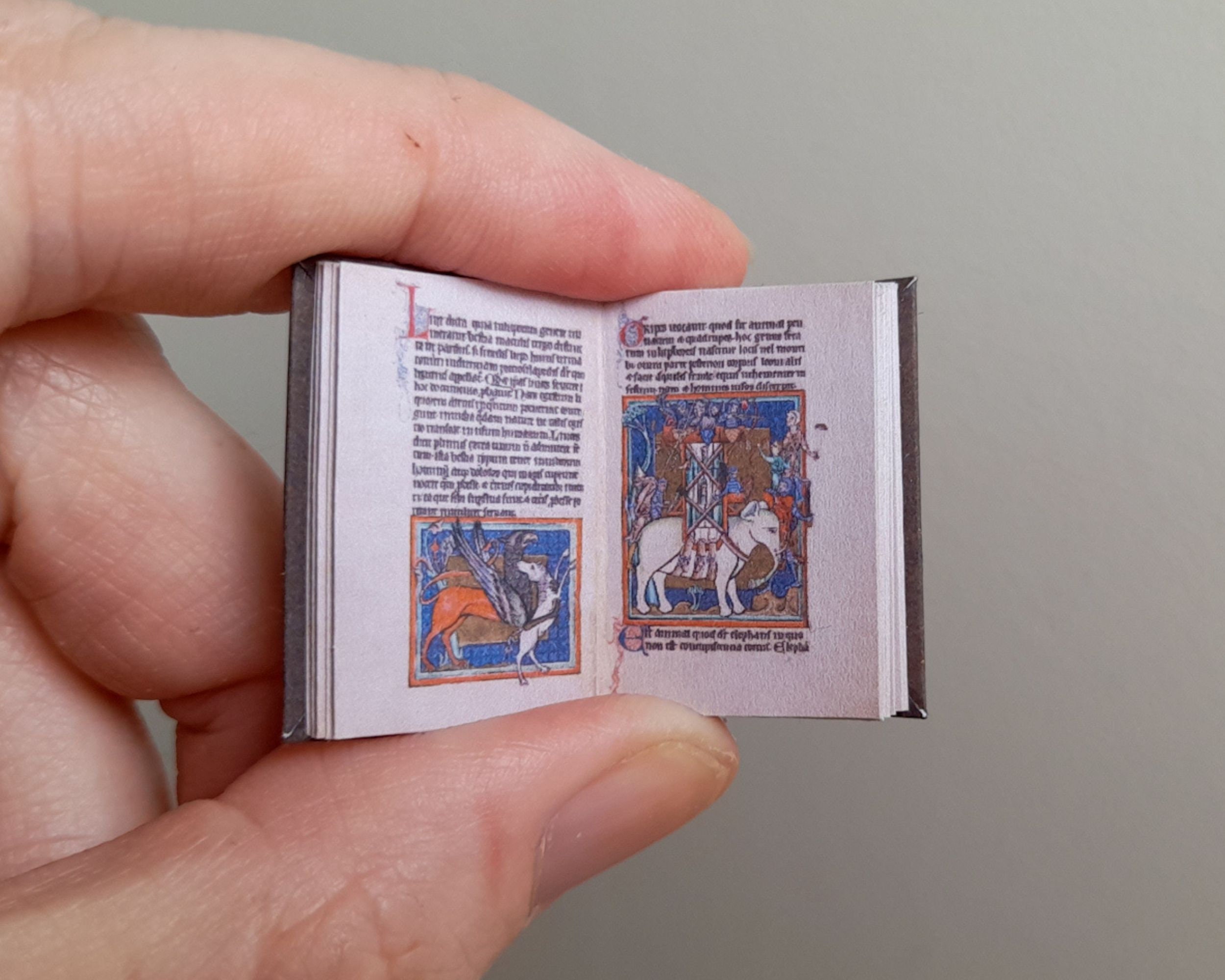 Printable Miniature Illustrated Medieval Bestiary Dollhouse - Etsy