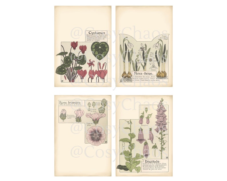 Printable Floral Journal Cards for ATC, Collage Sheets, Junk Journal ...