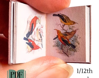 Printable antique miniature illustrated bird book, dollhouse 1/12th scale, miniature DIY dollhouse bird book from 1890, PDF