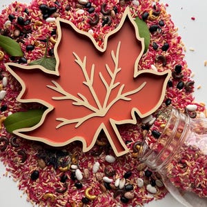 May include: A maple leaf-shaped tray with a matte terracotta orange interior and a light beige raised border. The tray features a central light beige vein pattern and is surrounded by a mixture of pink rice, black beans, and small pasta shapes.
