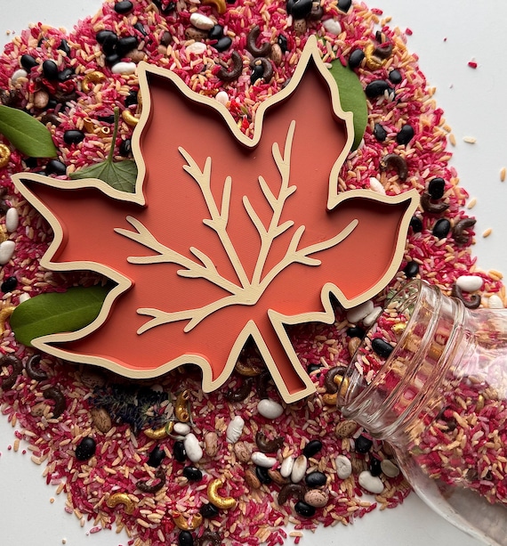 Autumn Leaf Sensory & Sorting Tray for Sensory Activities and Learning/Fall