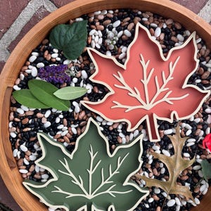 May include: Two leaf-shaped trays, one in a muted terracotta orange and the other in a deep olive green, each featuring a raised cream-colored vein pattern. The trays are arranged among scattered dried beans and several natural green leaves.