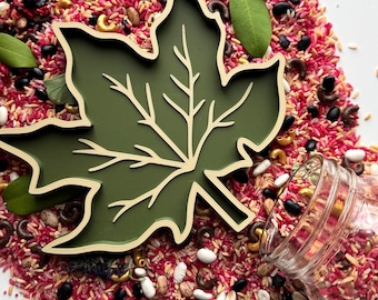 Leaf Sensory & Sorting Tray for Sensory Activities and Learning/Fall