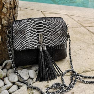 May include: Black and white snakeskin-patterned crossbody bag with a silver chain strap and a black tassel. The bag is rectangular with a flap closure and a silver clasp. The bag is resting on a stone surface.
