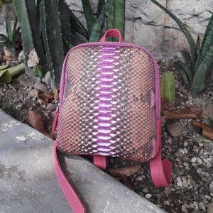 May include: A small, square backpack with a snakeskin pattern in shades of pink, brown, and silver. The backpack has a pink zipper, handle, and shoulder straps. The bag is sitting on a concrete surface with plants in the background.