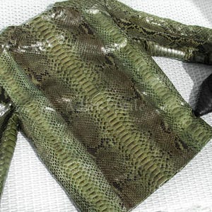 May include: A green snakeskin-effect jacket with long sleeves. The jacket has olive and dark green tones, with a shiny finish. Black high-heeled shoes are visible, suggesting a fashion theme.