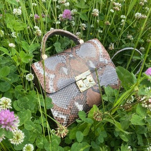 May include: A snakeskin-patterned handbag with a gold-colored clasp and handle, resting in a bed of green clover and wildflowers. The bag features shades of brown, gray, and white, creating a textured appearance.