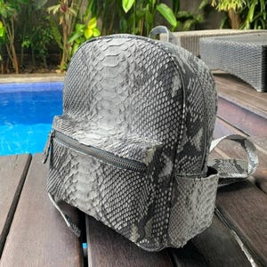 May include: A gray and black backpack with a snakeskin pattern. The backpack has a zippered main compartment, a front pocket, and adjustable straps. The bag is made of a textured material and has a top handle.