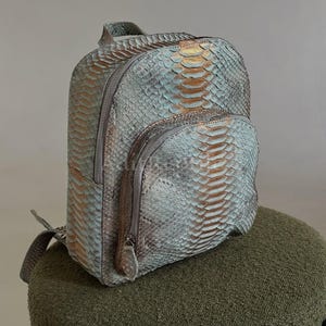 Könnte beinhalten: Ein Rucksack mit Schlangenmuster in Blau-, Gold- und Grautönen. Der Rucksack hat ein Hauptfach und eine kleinere Vordertasche, beide mit Reißverschlüssen. Die Träger und Reißverschlüsse sind farblich passend grau.