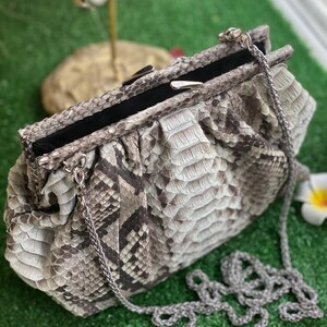 May include: A clutch-style handbag with a snakeskin pattern in shades of gray and brown. The bag features a silver chain strap and a clasp closure. The interior is black. The bag is on a green surface.