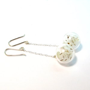 Dandelion earrings, sterling silver,  Glass Bead Orb. Botanical. Modern Jewelry. Dandelion seeds.