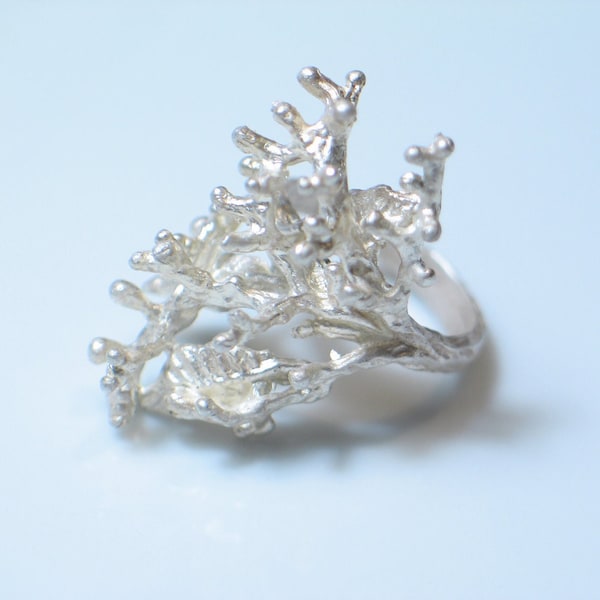 Sterling Silver Twig Ring: Botanical Branch Jewelry