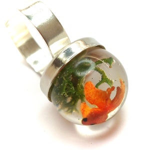 Goldfish ring. Resin ring. Resin jewelry. fish ring, fishbowl ring, fish bowl. miniature, sea animal, Whimsical, resin rings for women image 6