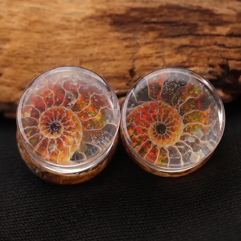 Spiral Ammonite Fossil Quartz Plugs, Artisan Iridescent Ammolite Plugs, Double Flare Crystal Gauges, Handcrafted Solid Single or Pair image 2