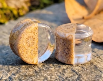 Natural Indonesian Coral Quartz Split Gauges, Fossil Flower Double Flat Plugs, Double Flare Stone Plugs, Custom Sizes Available