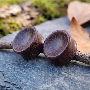 Puede incluir: Dos tapones para los oídos abocinados de color marrón oscuro con una textura moteada. Los tapones están hechos de madera y tienen una cara redondeada y cóncava. Se muestran sobre una pequeña rama contra un fondo natural borroso.