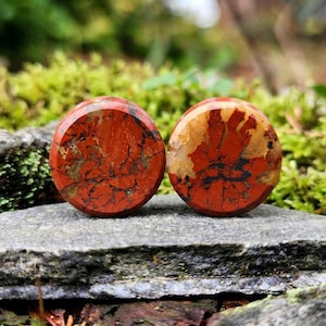 May include: Two red jasper stone plugs with unique patterns. The plugs have a polished, rounded shape, showcasing a mix of red, brown, and black veining. The background features green moss and a gray stone surface.